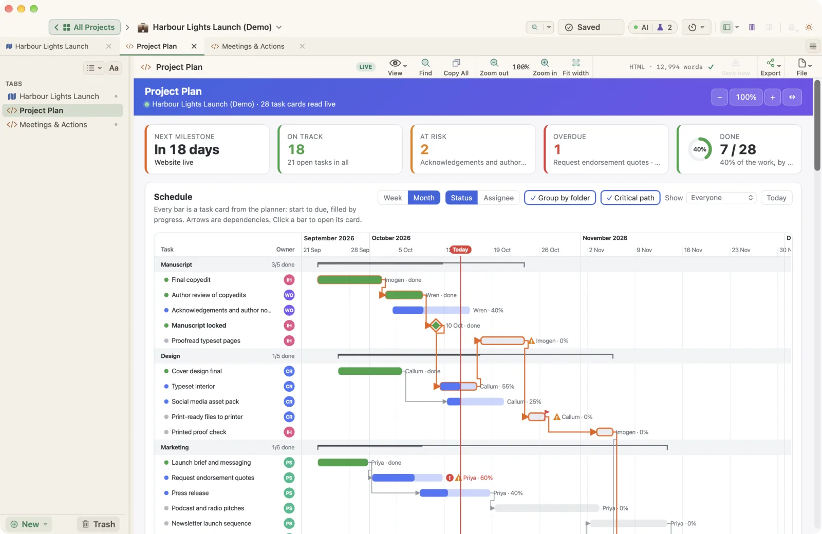 The Project Plan Live Page in the Harbour Lights Launch demo project