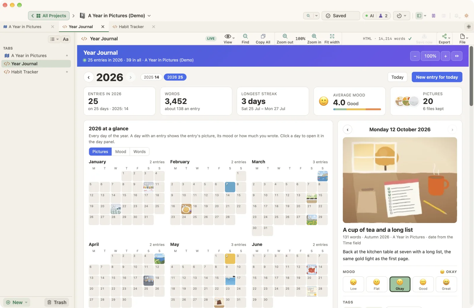 The Year Journal Live Page in A Year in Pictures, an illustrated family journal demo project