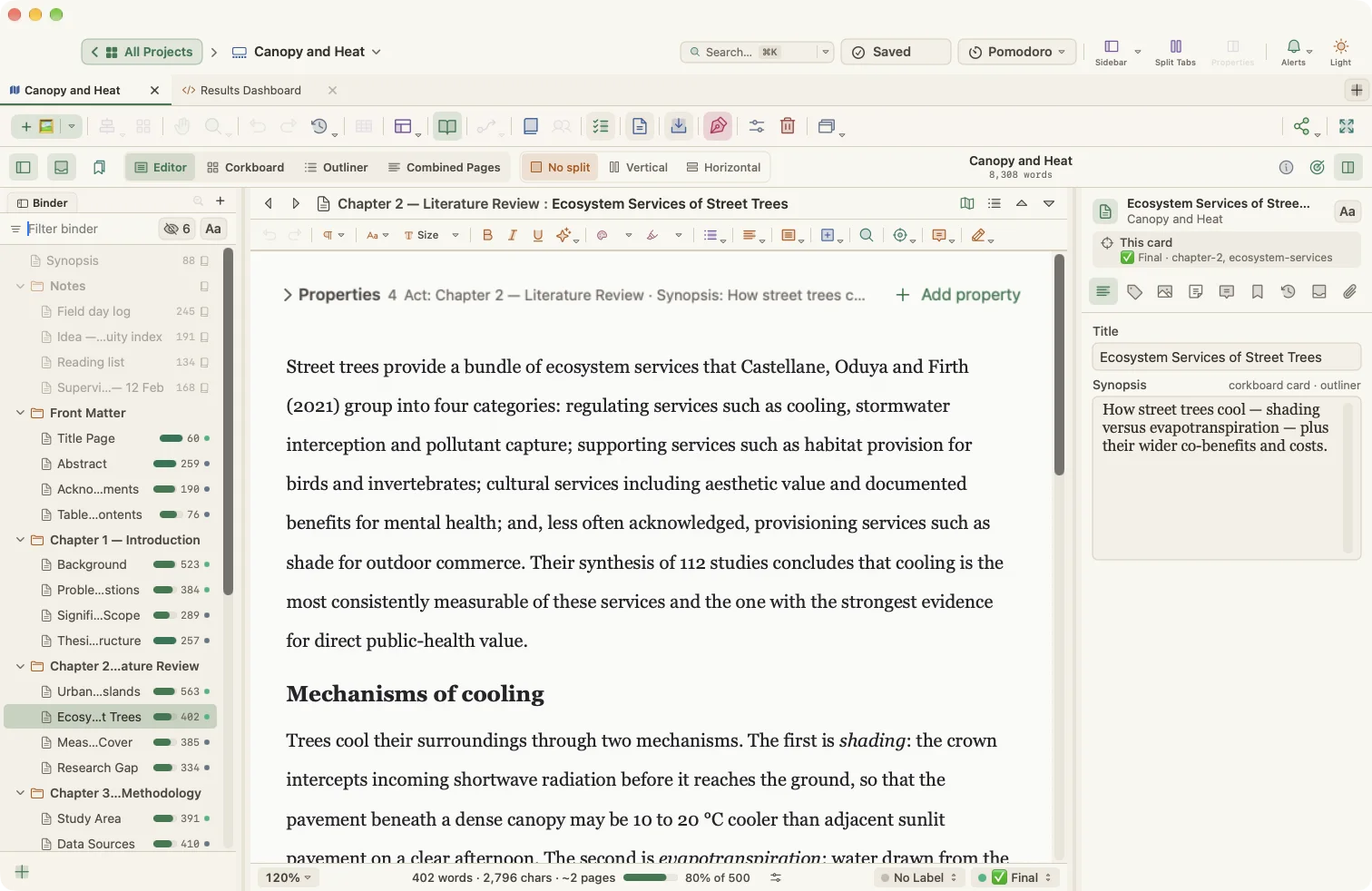 The thesis or dissertation writer